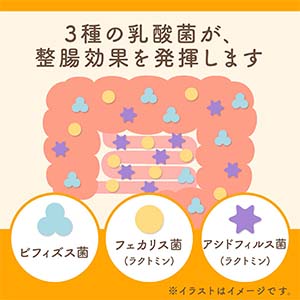 整腸の勧め　便秘・下痢対策から風邪・発がん予防まで